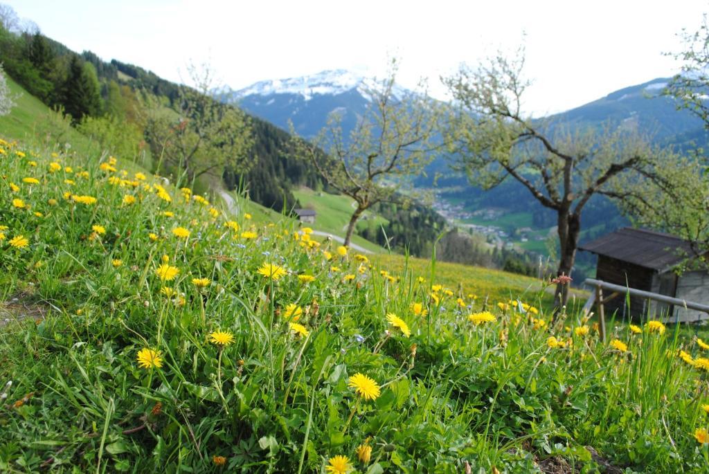 Siedlerhof Leilighet Hopfgarten im Brixental Eksteriør bilde